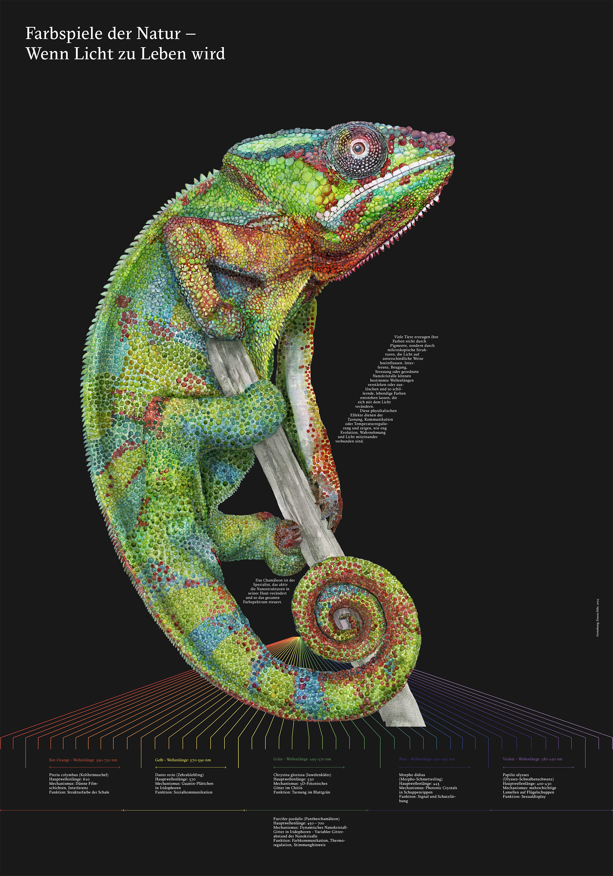 Chameleonplakat